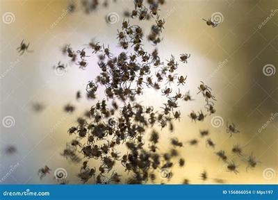 福安熱血封神H5_刀劍萌俠(0.1折版) 助力創(chuàng)業(yè)者騰飛的良機(jī)市場(chǎng)營(yíng)銷(xiāo)策劃